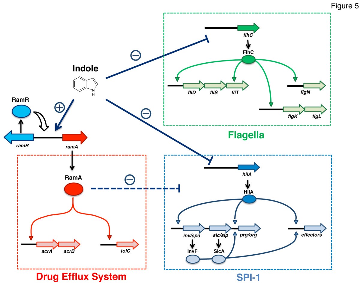 Figure 5