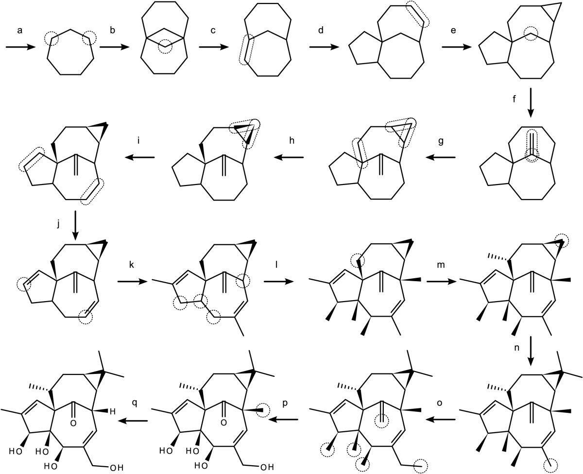 Figure 17