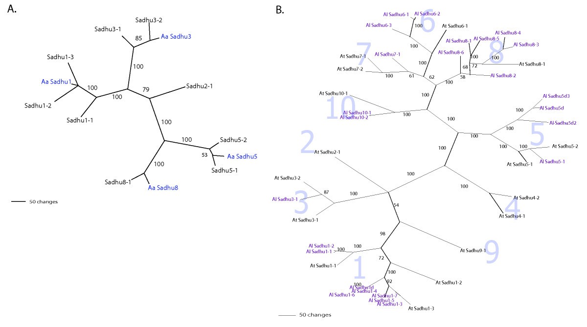 Figure 5