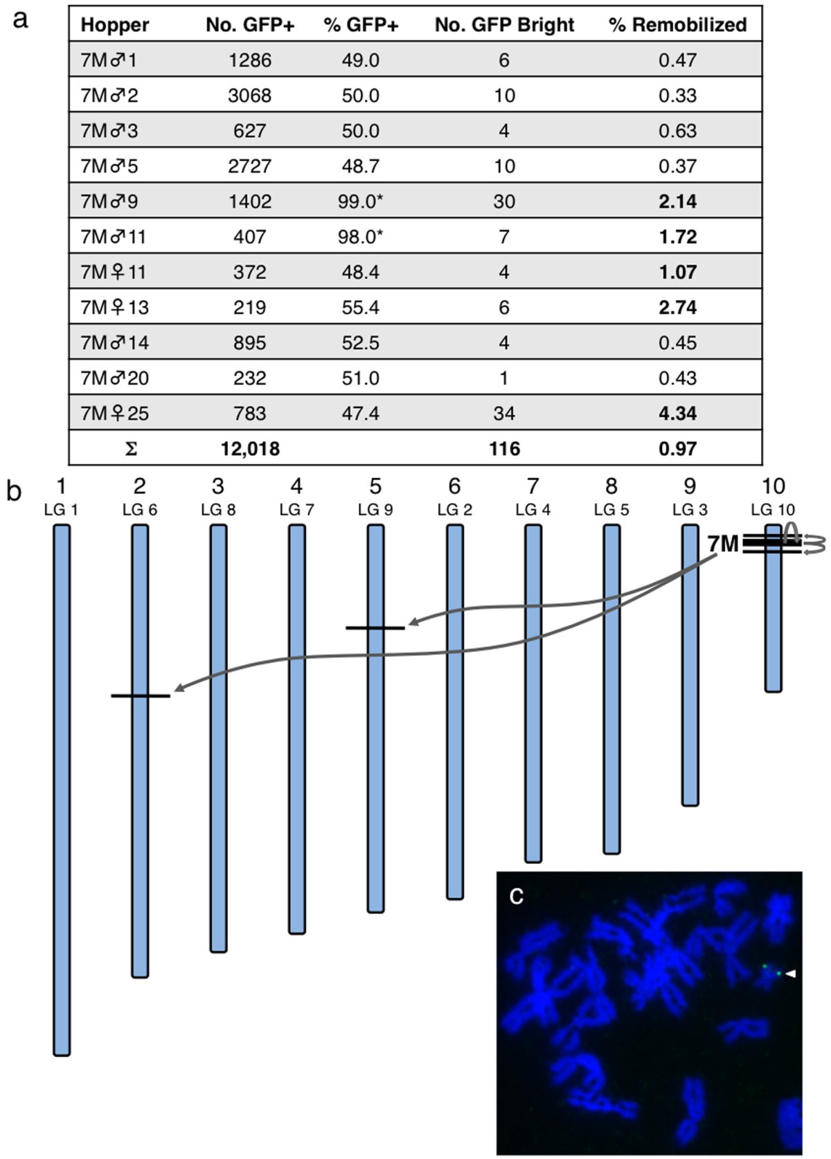 Figure 7