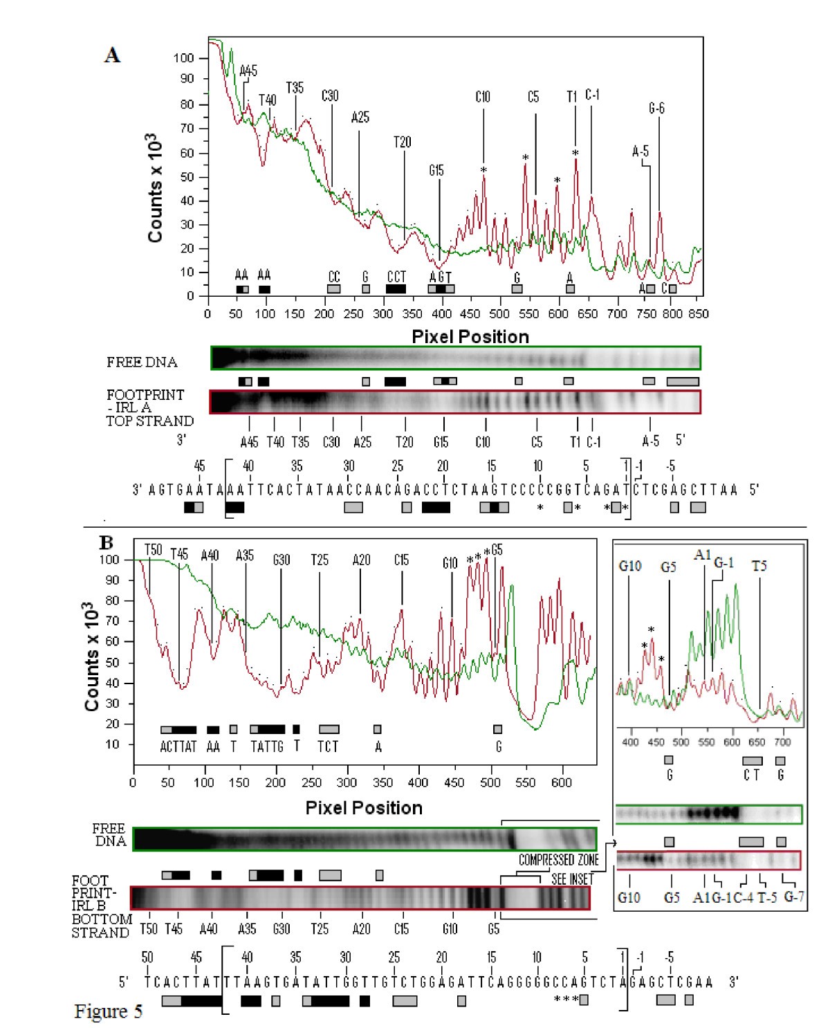 Figure 5