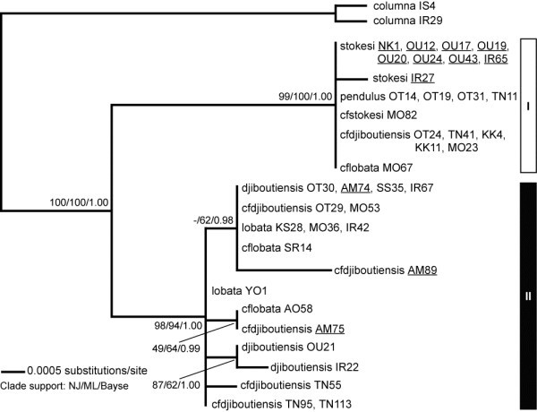 Figure 6