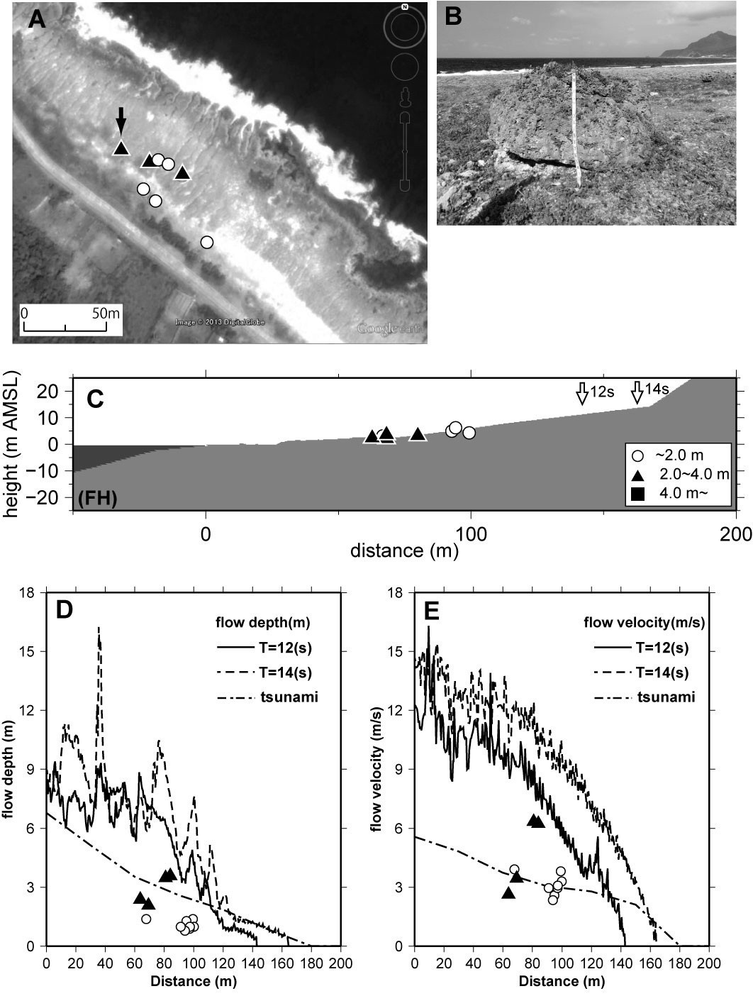 Figure 13