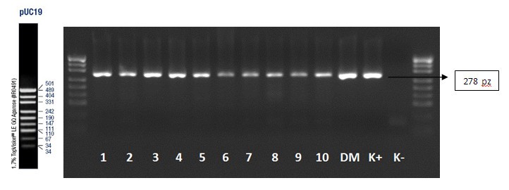 Figure 5