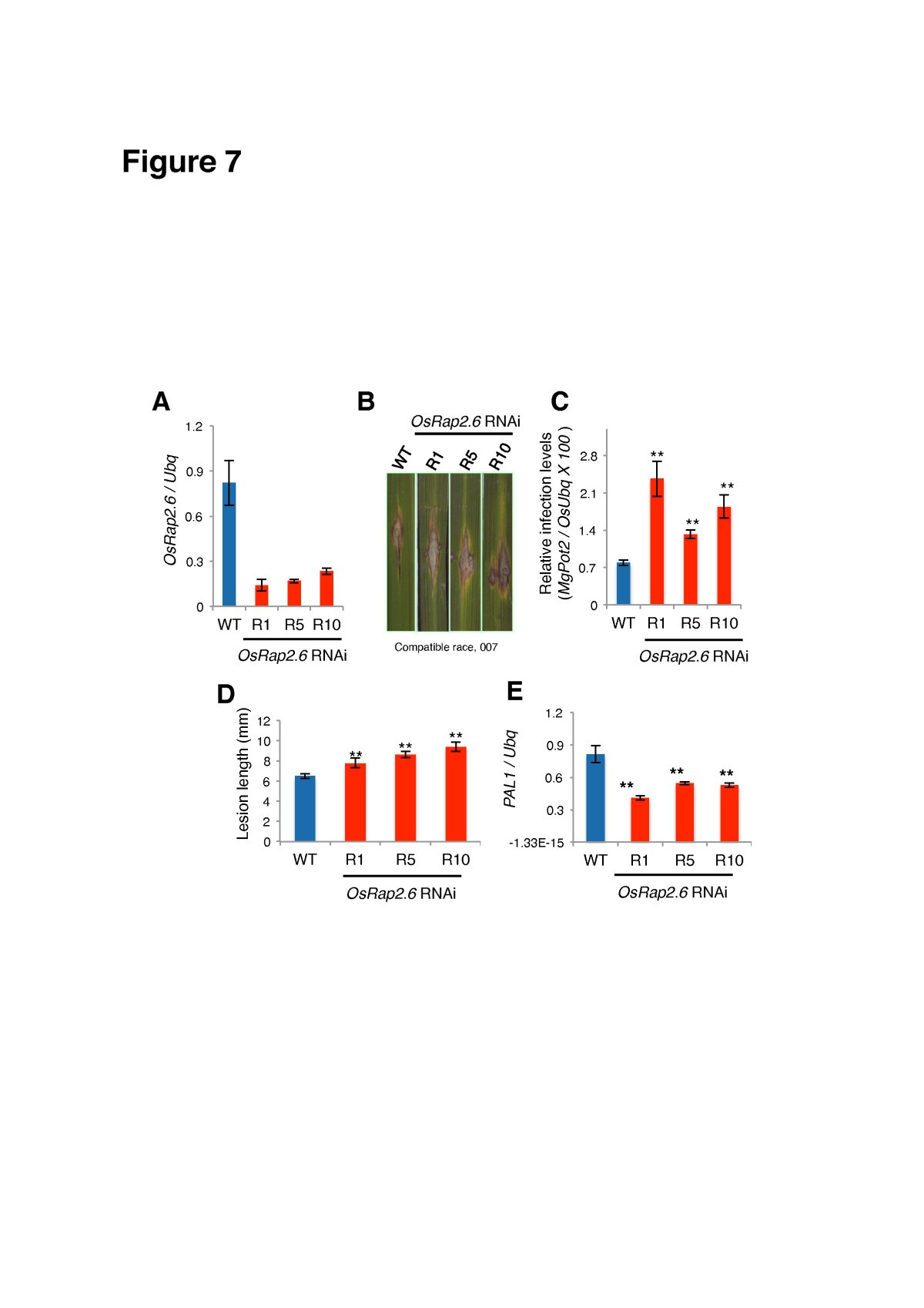 Figure 7