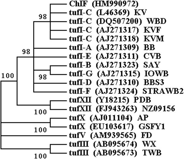 Figure 4