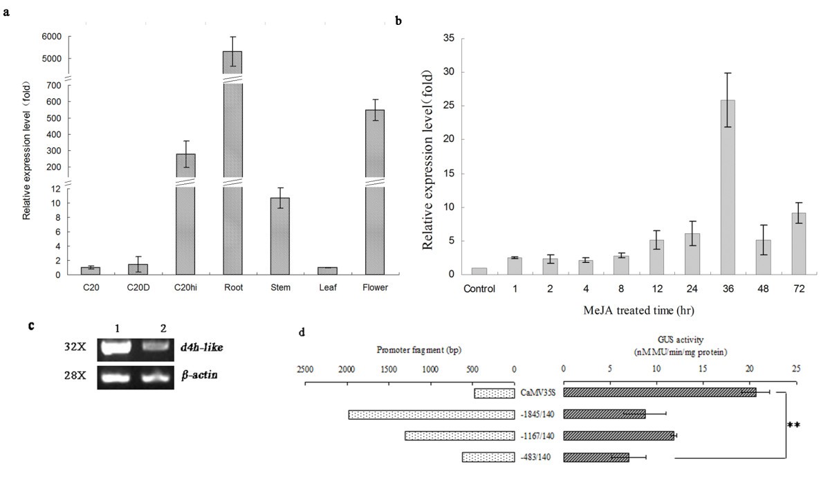 Figure 4