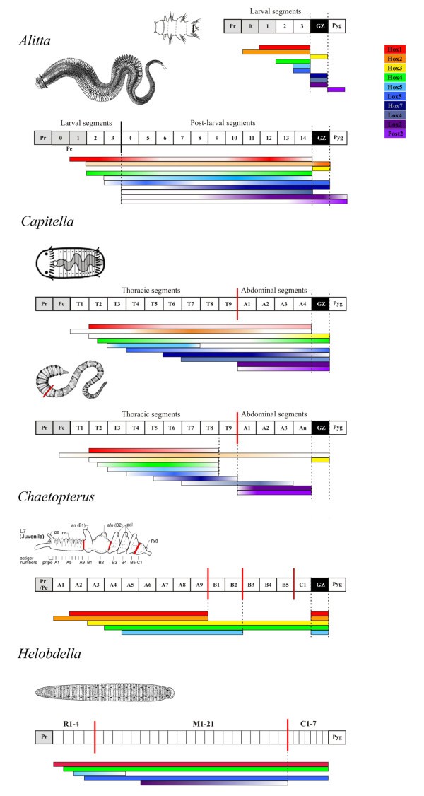 Figure 10