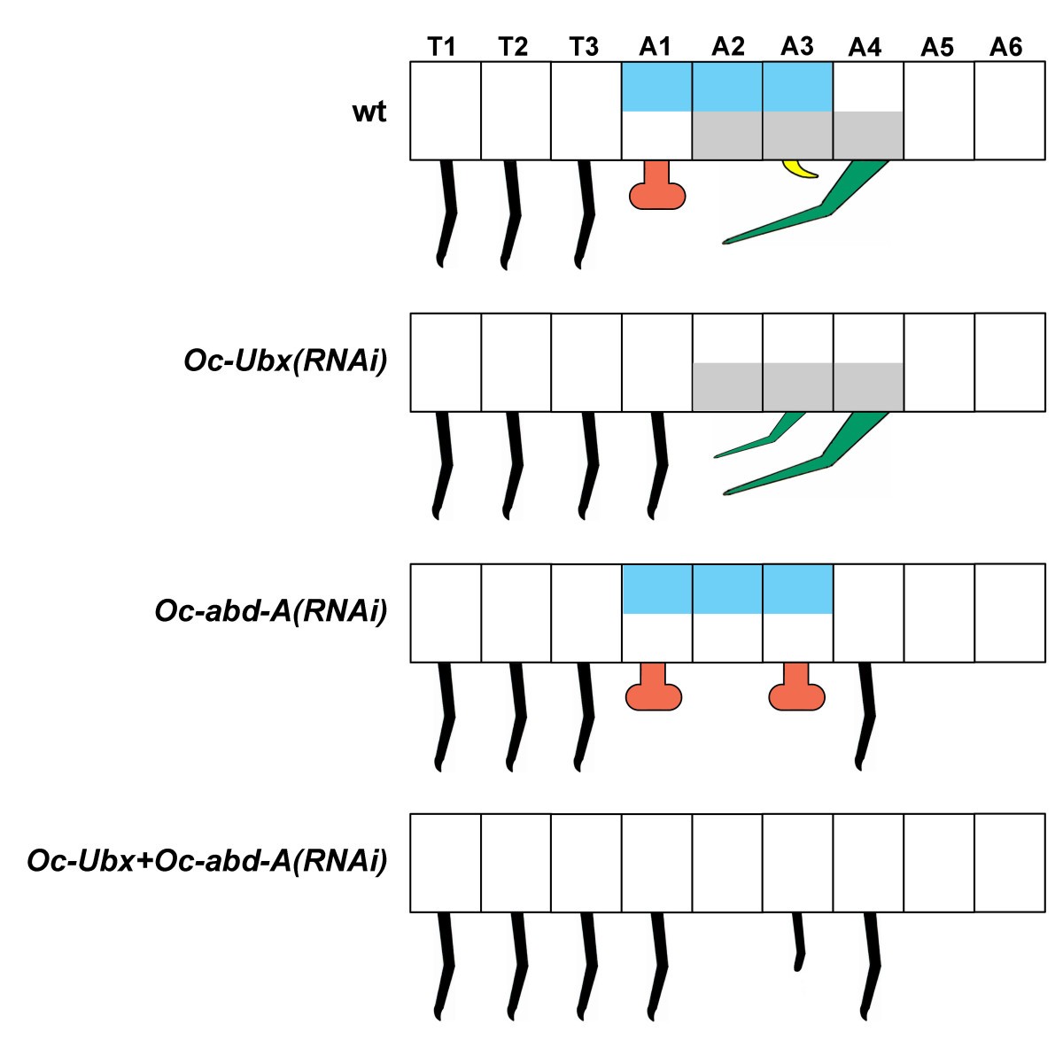 Figure 7