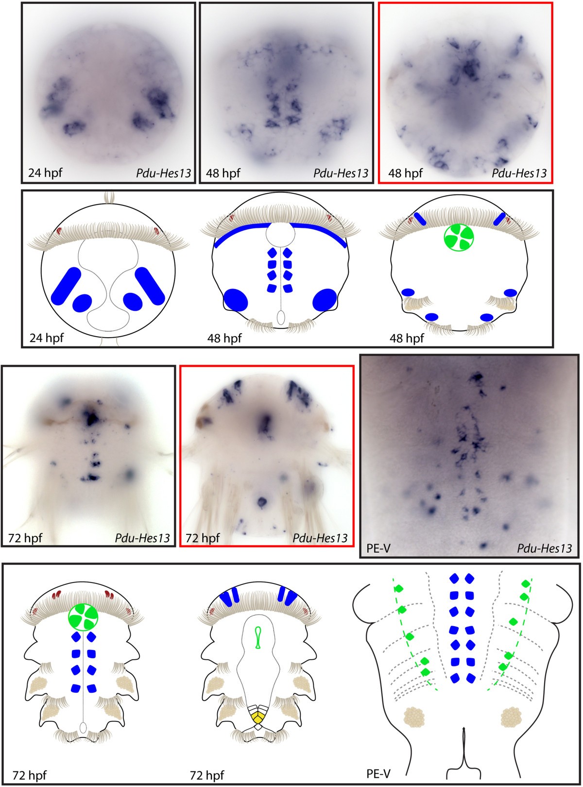 Figure 15