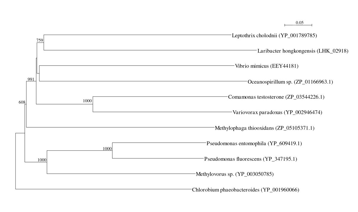 Figure 10