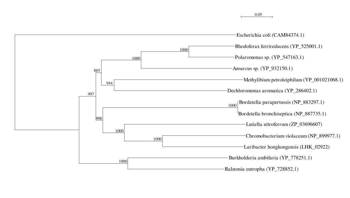 Figure 12