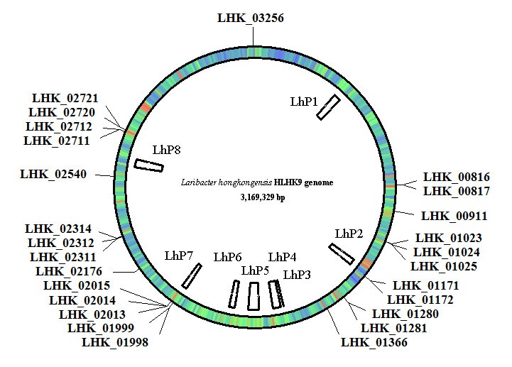 Figure 16