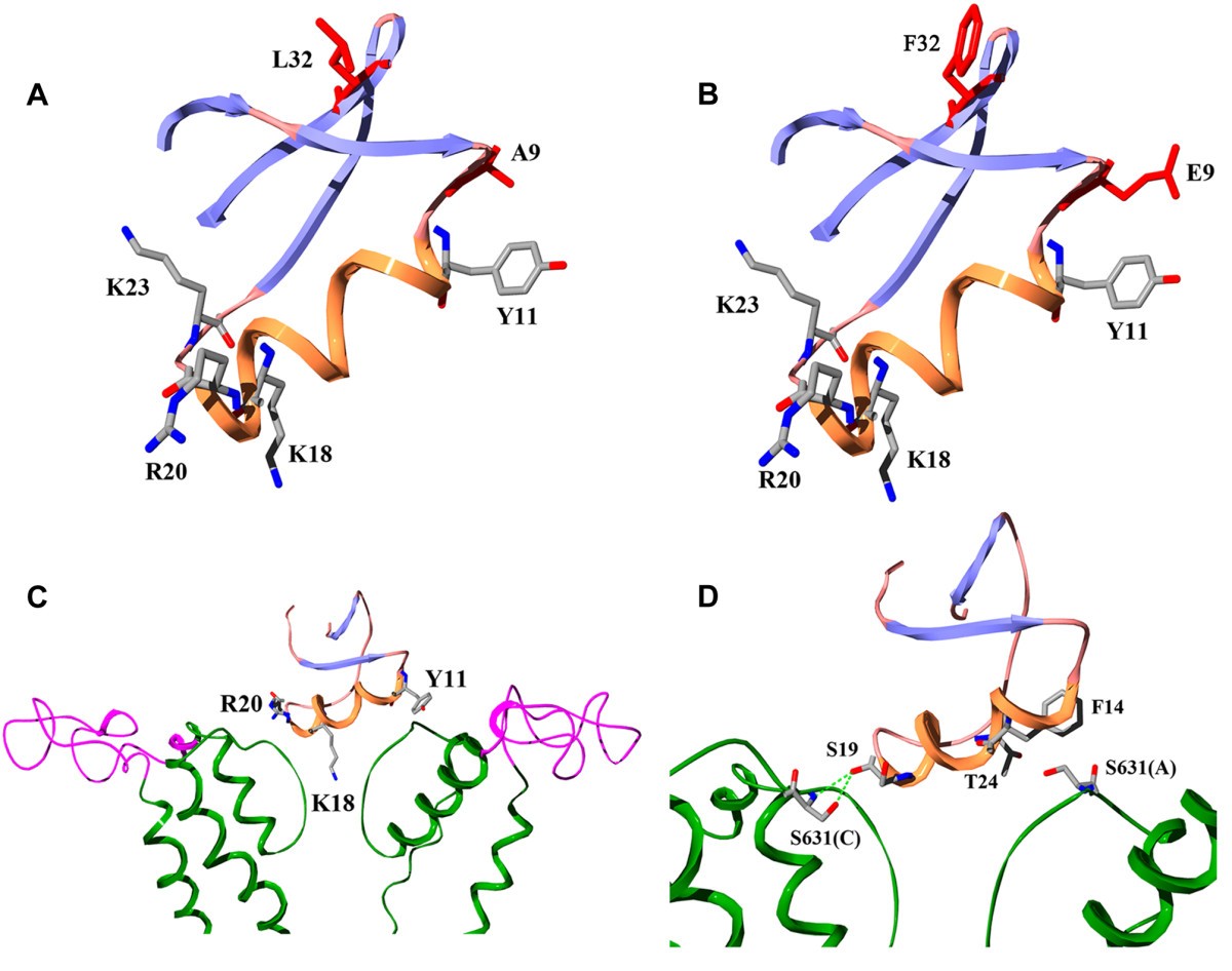 Figure 7