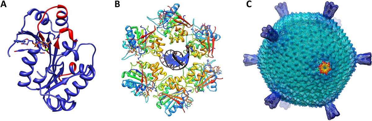 Figure 4