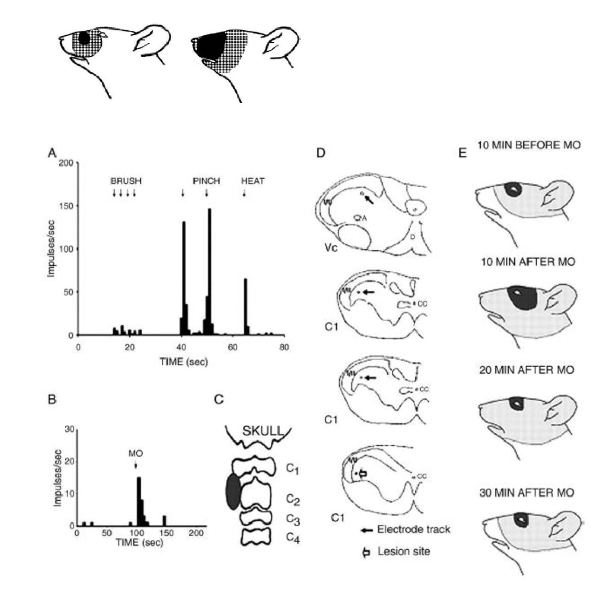 Figure 19