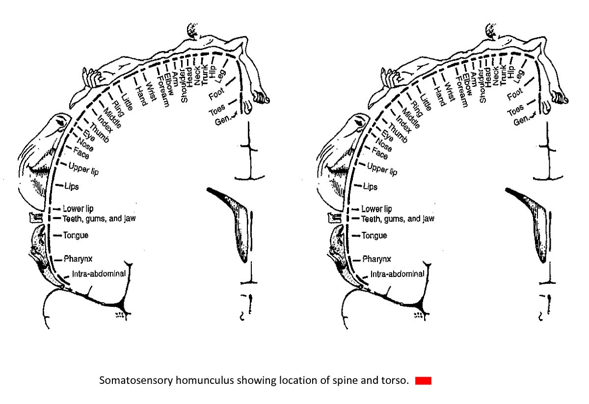 Figure 20