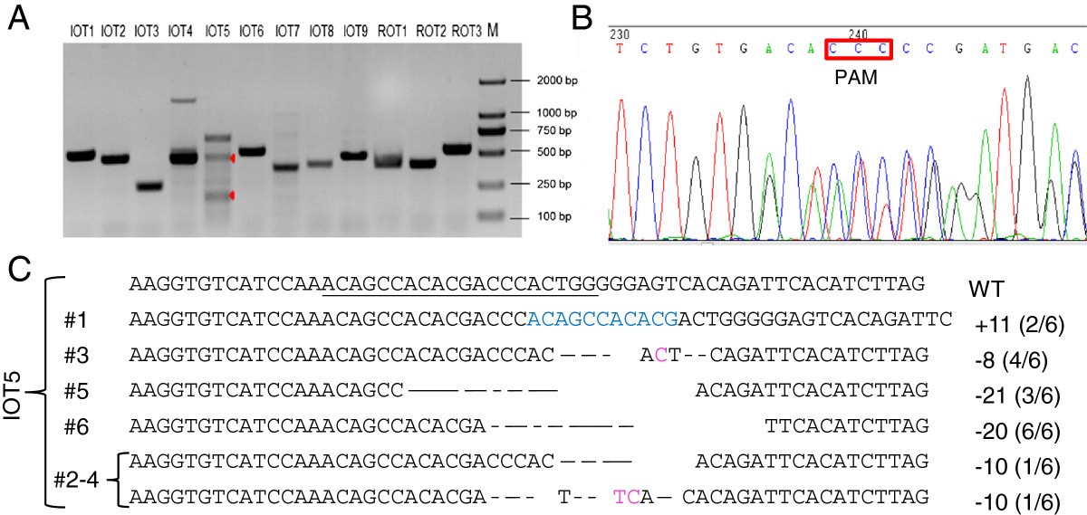 Figure 5