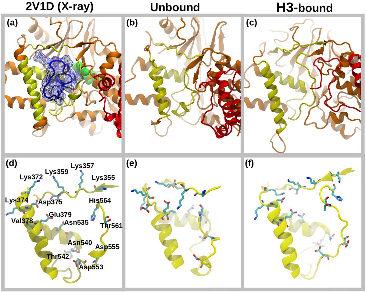 Figure 7