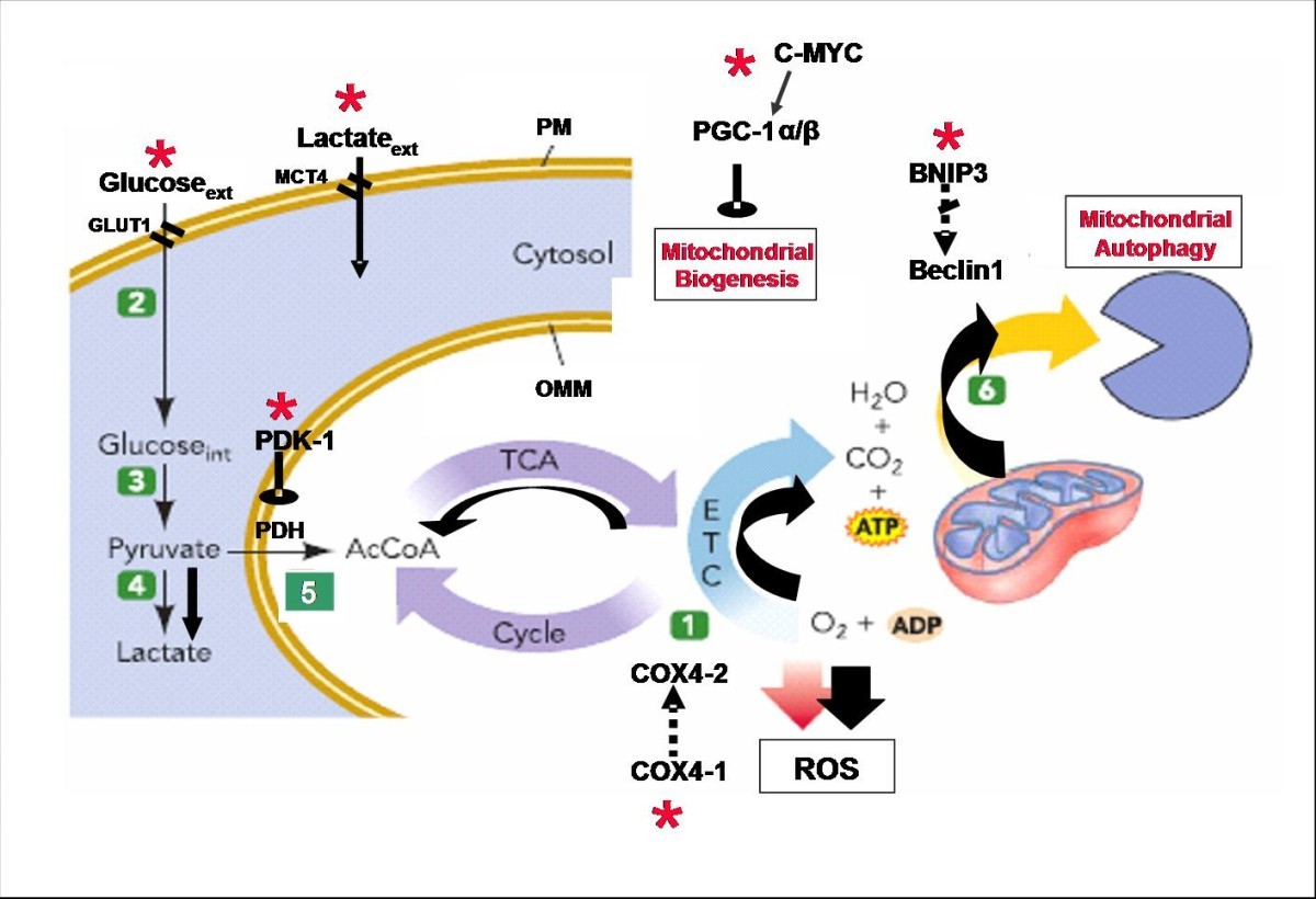 Figure 14