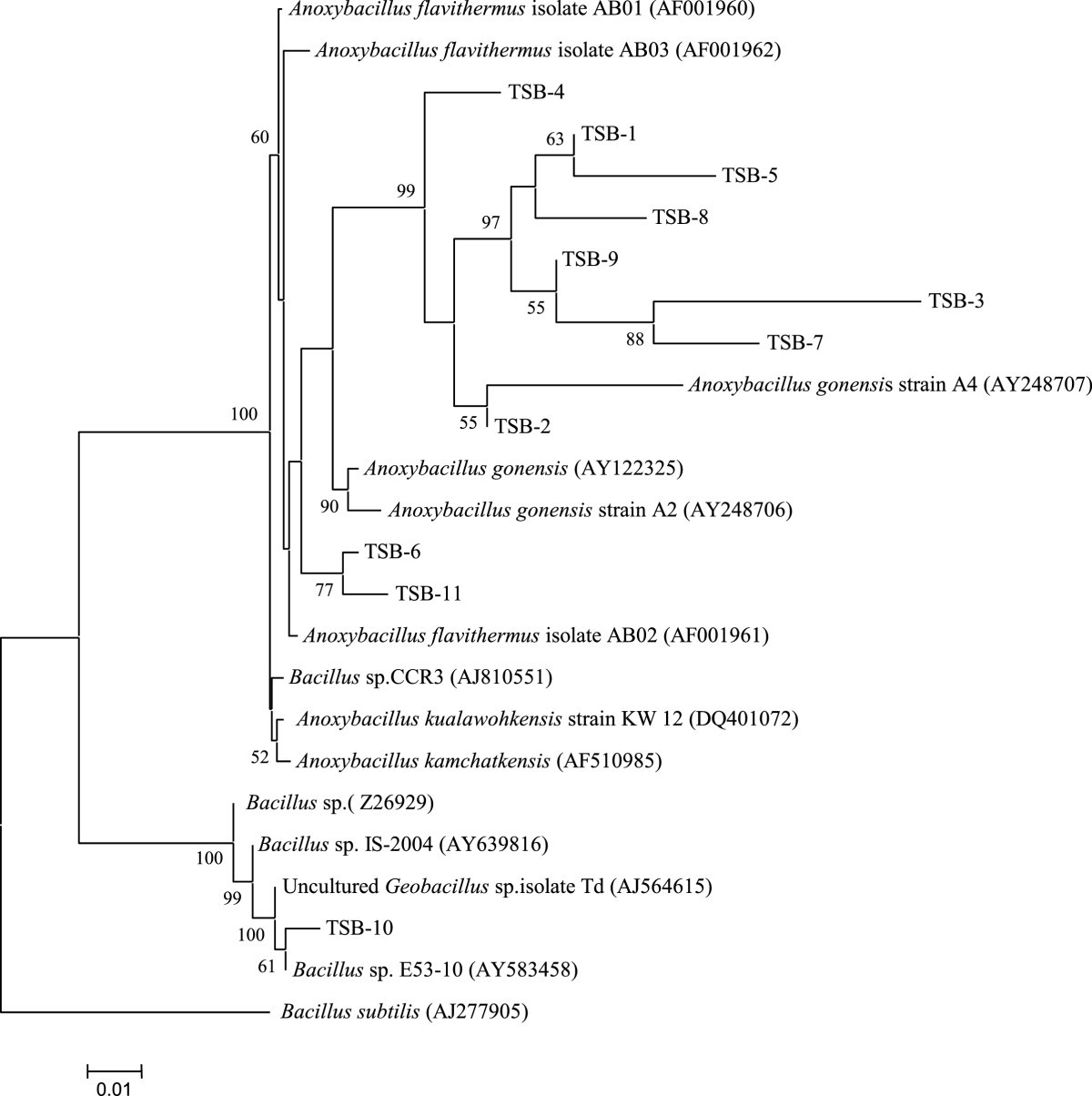 Figure 5