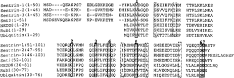 Figure 10a