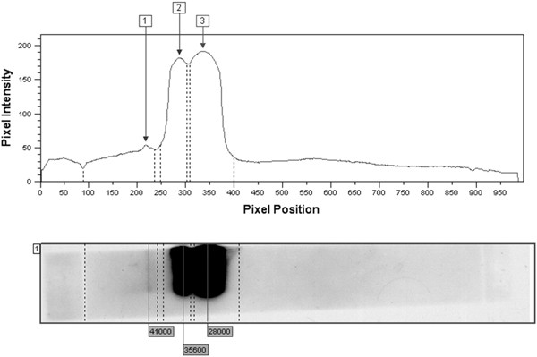 Figure 6b