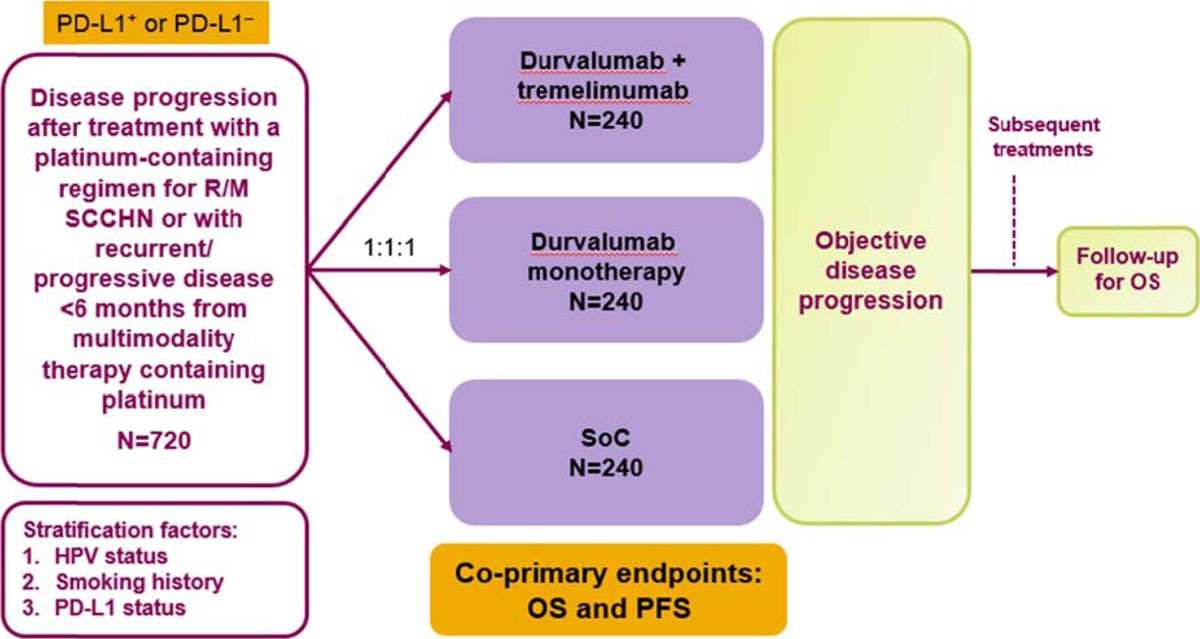 Phase Iii Randomized Open Label Study Of Durvalumab Medi Phase Iii Randomized Open Label Study Of Durvalumab Medi