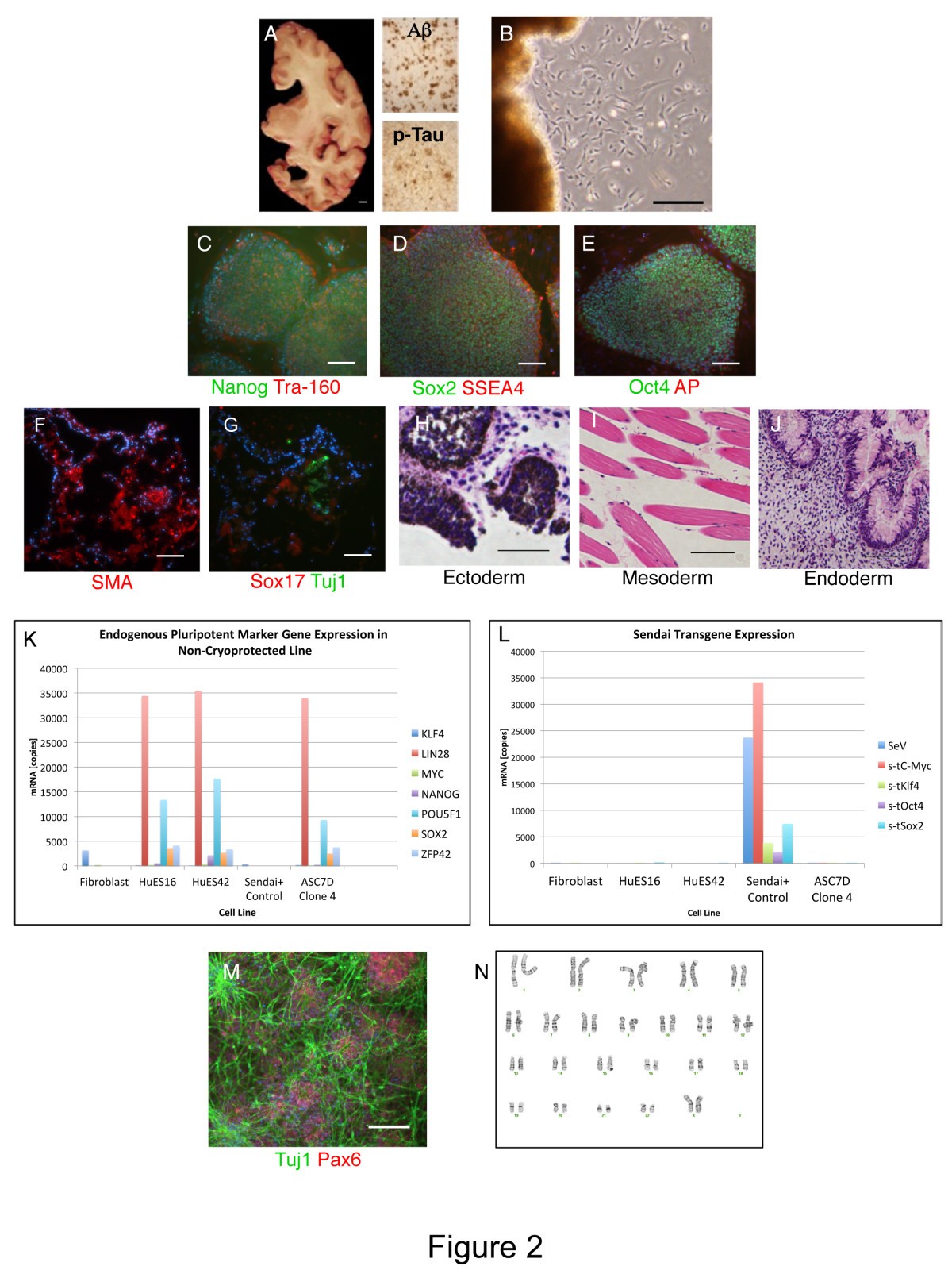 Figure 2