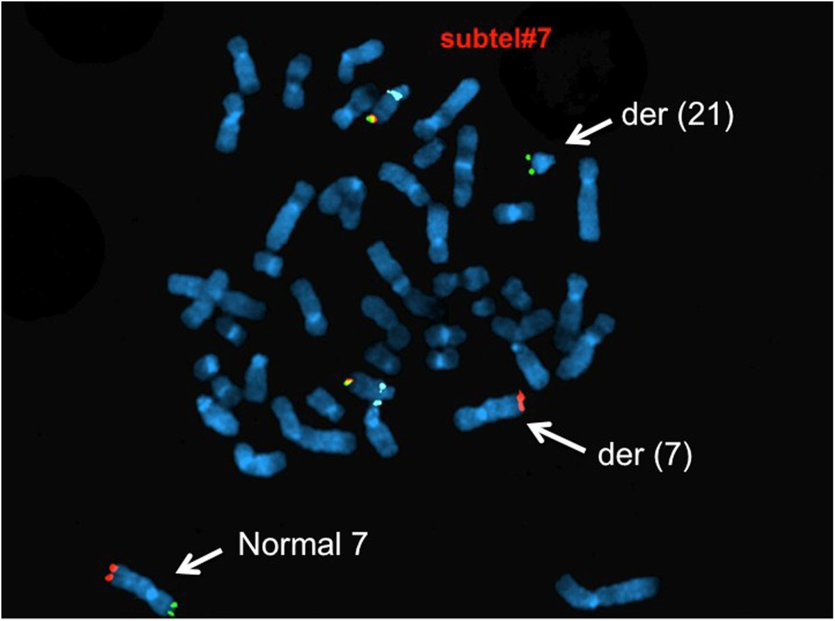 Figure 7