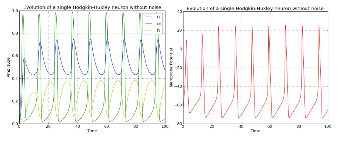 Fig. 1