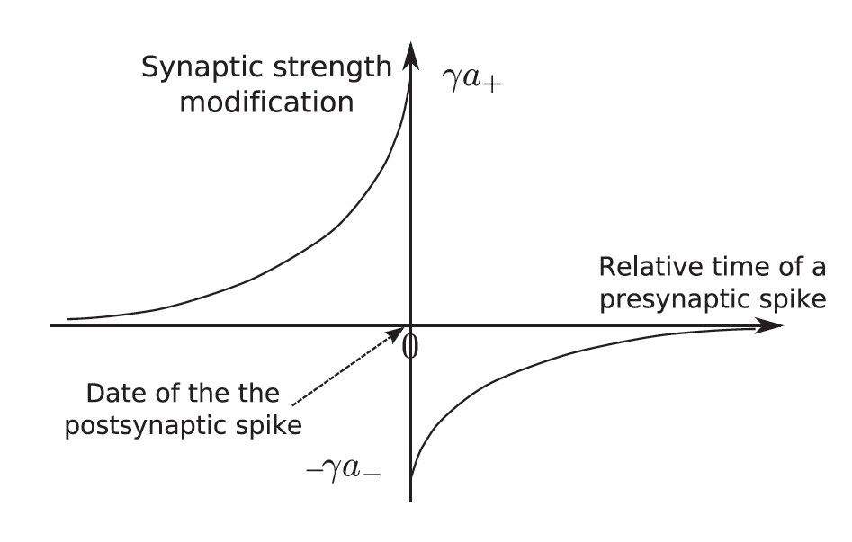 Fig. 6