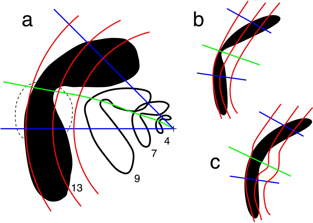 Fig. 6