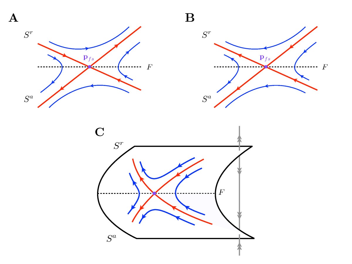 Fig. 5