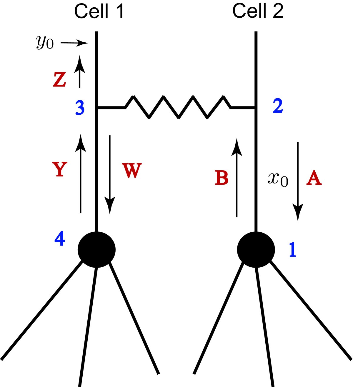 Fig. 12