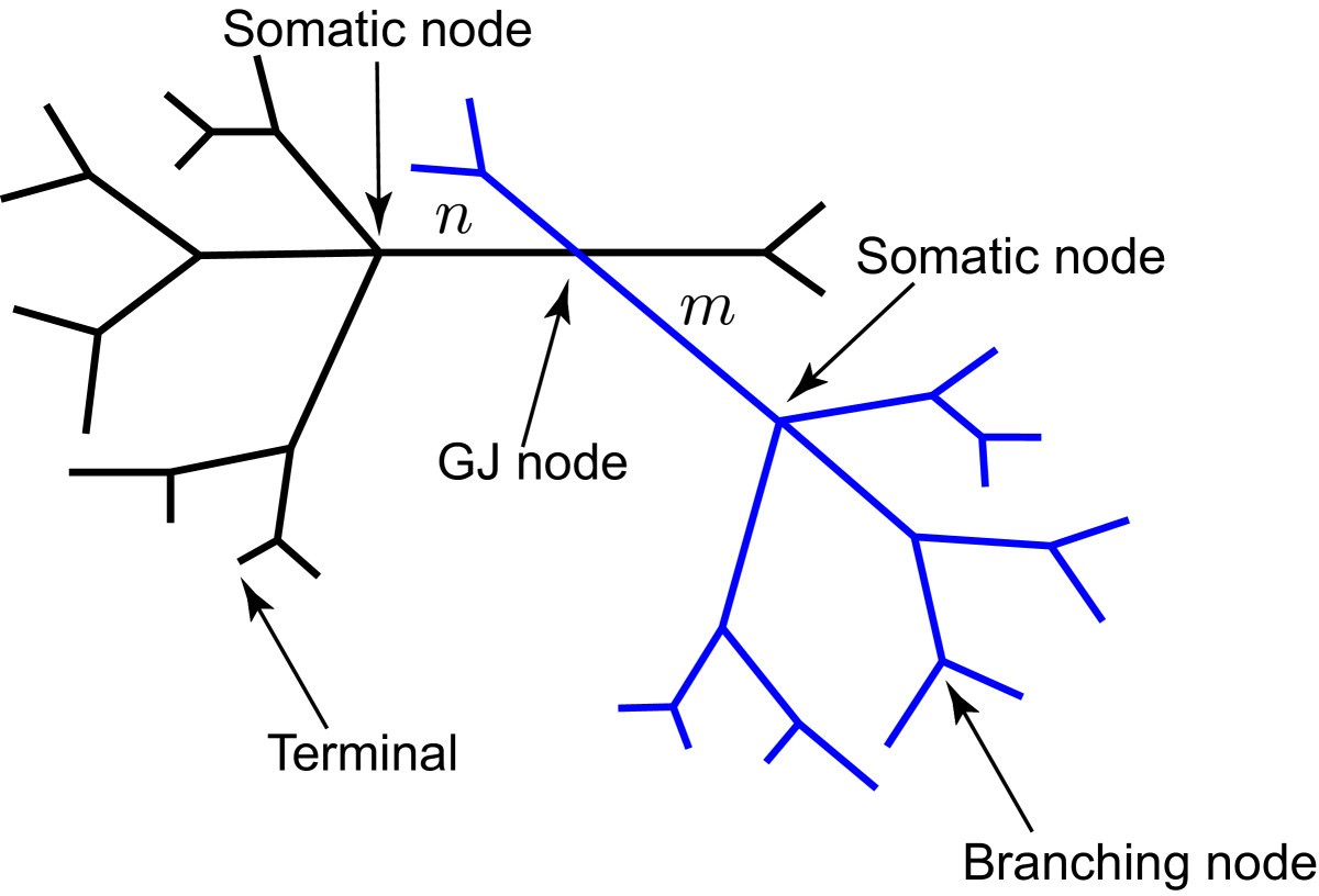 Fig. 1