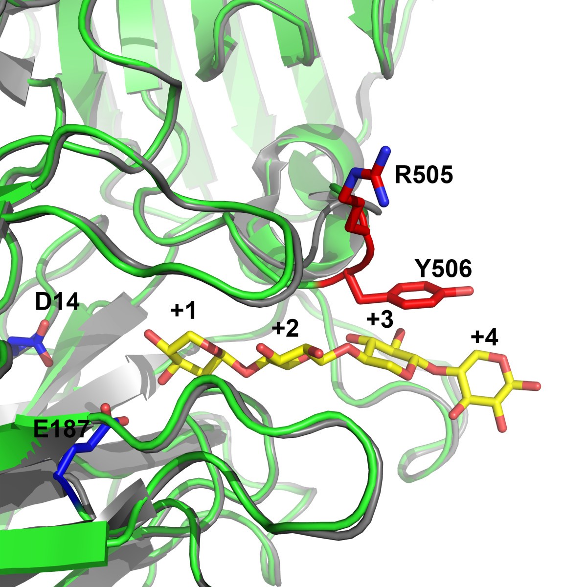 Figure 4