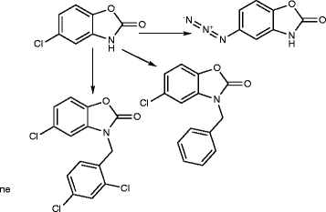 Scheme 2