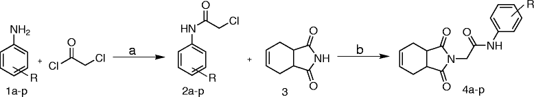 Scheme 1