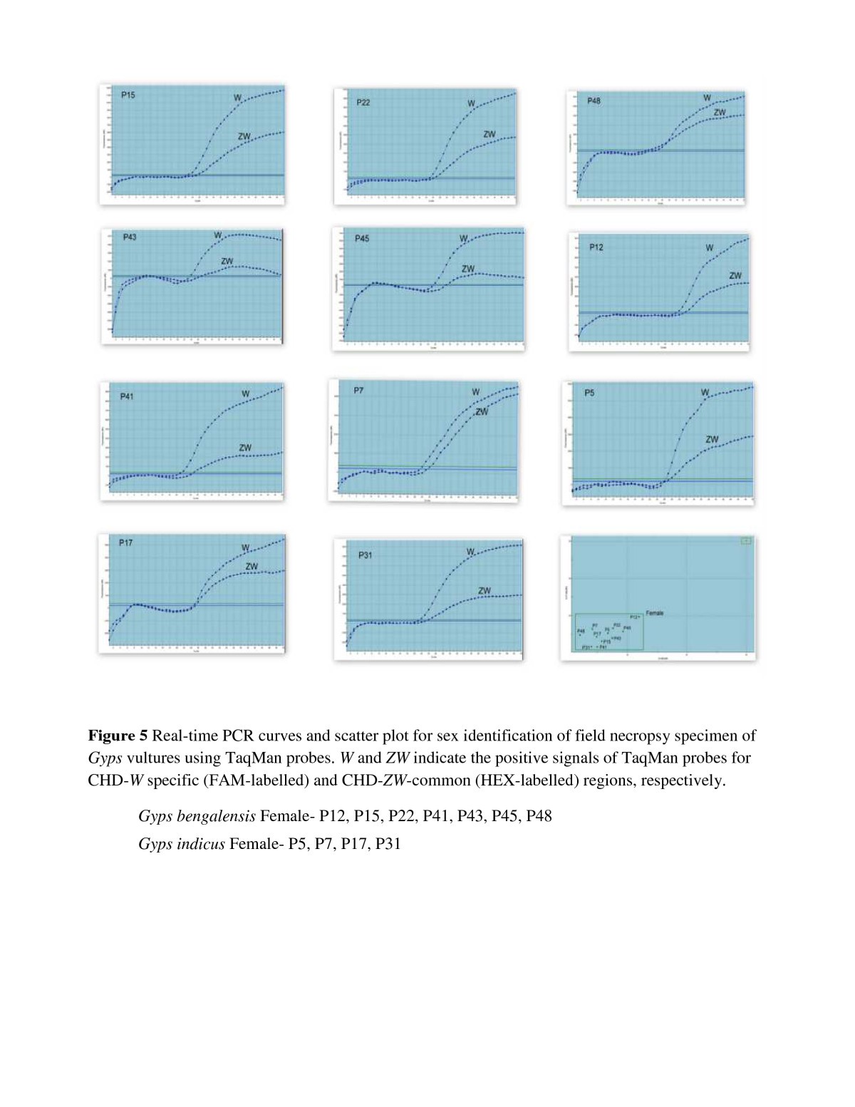 Figure 5