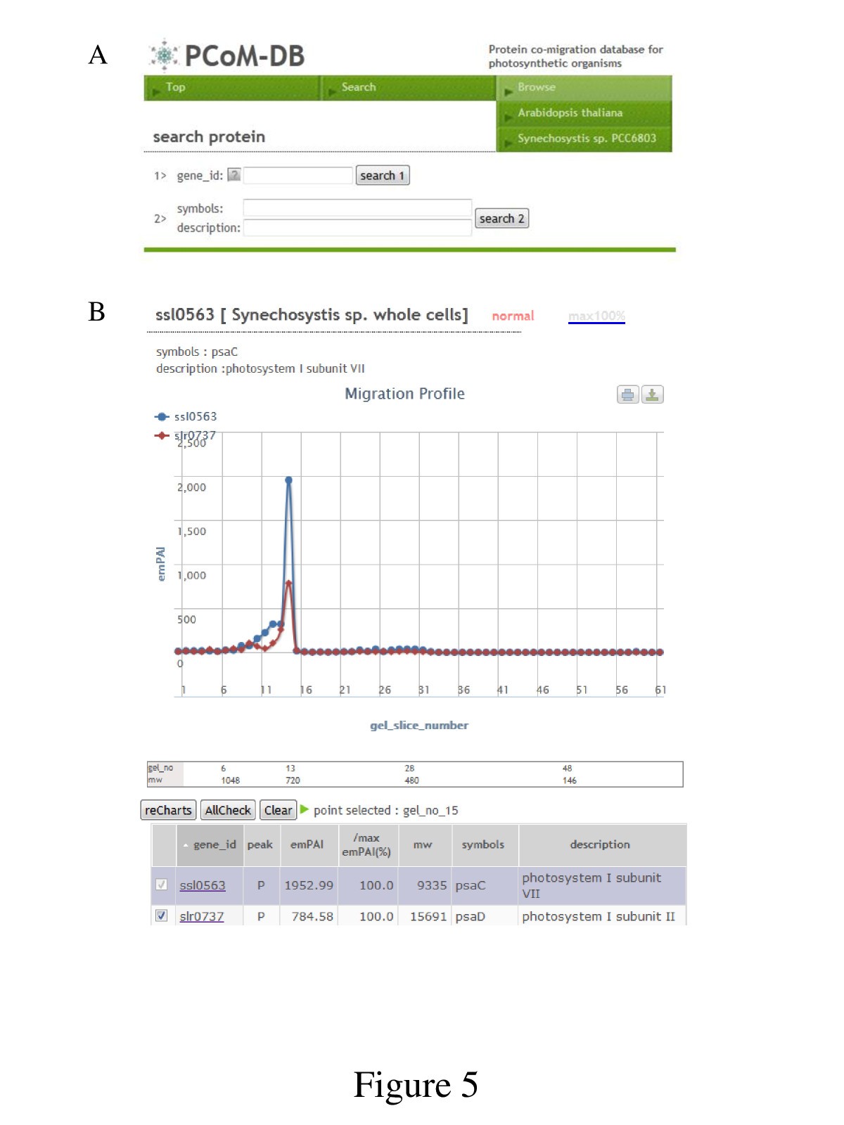 Figure 5