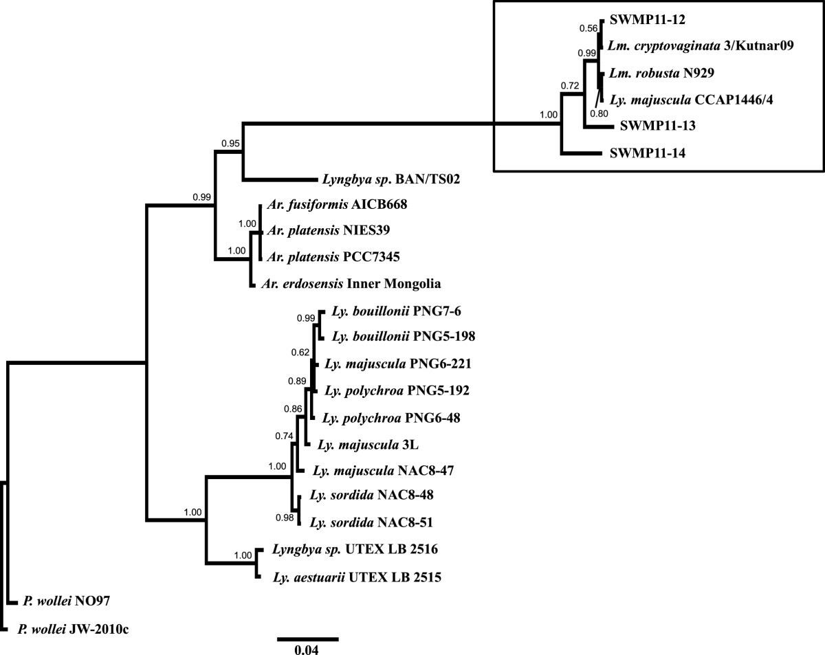 Figure 2