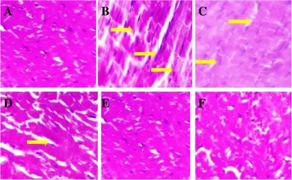 Figure 24