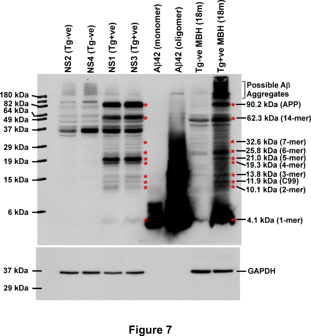 Figure 7