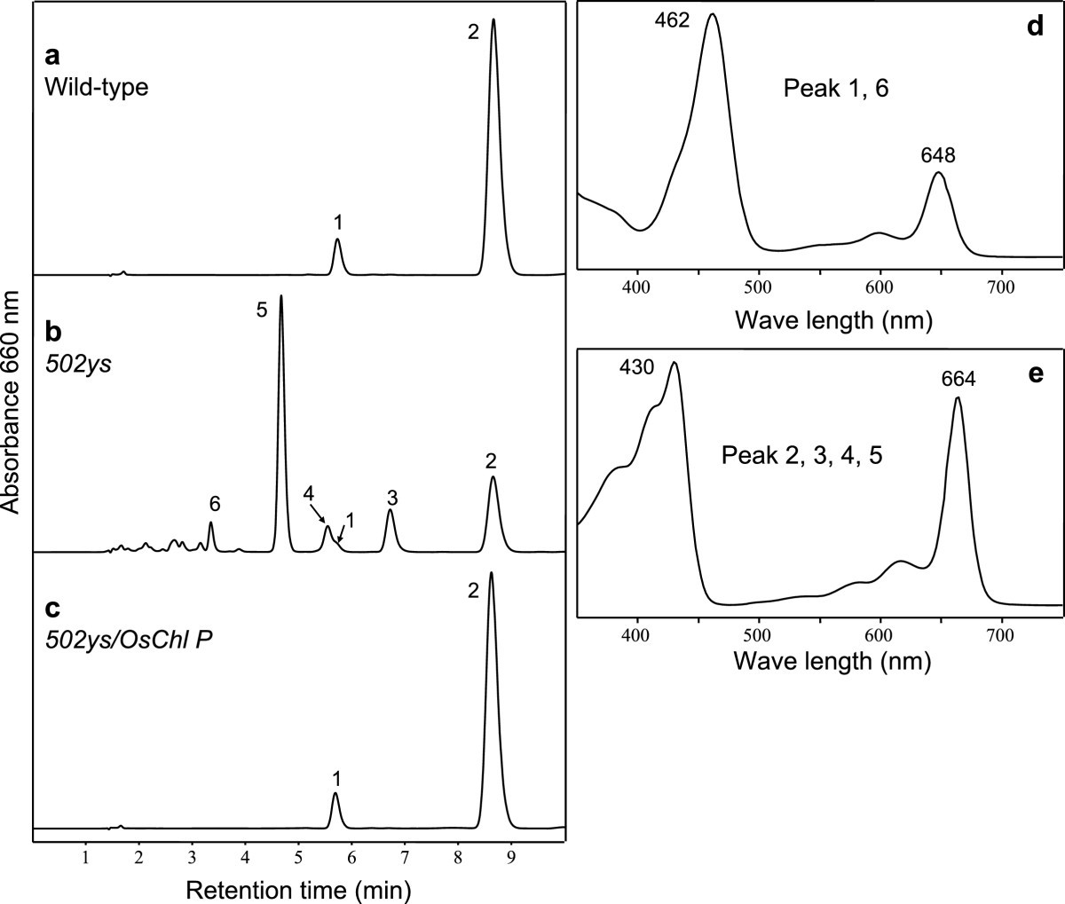 Figure 5