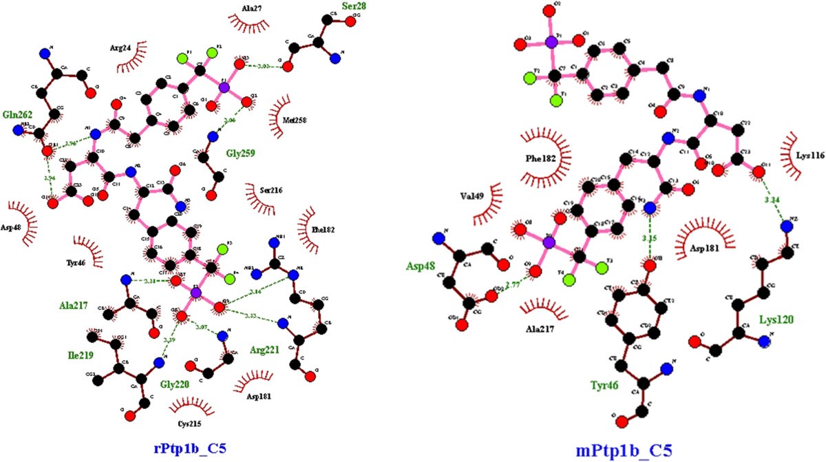 Figure 11