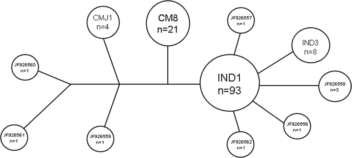 Figure 11