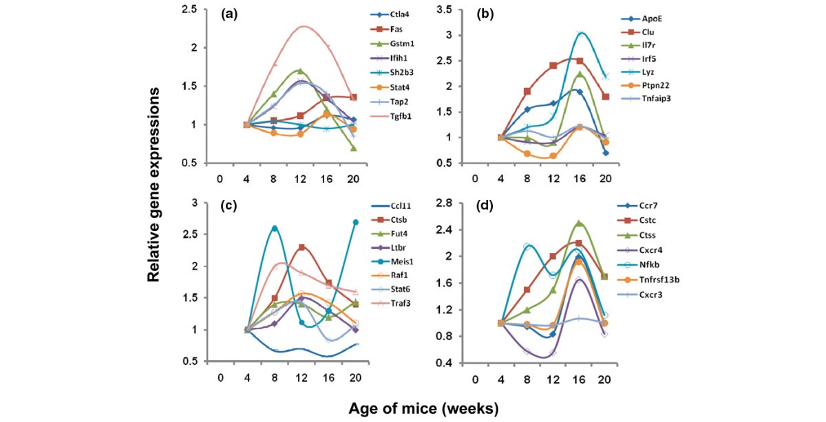 Figure 5