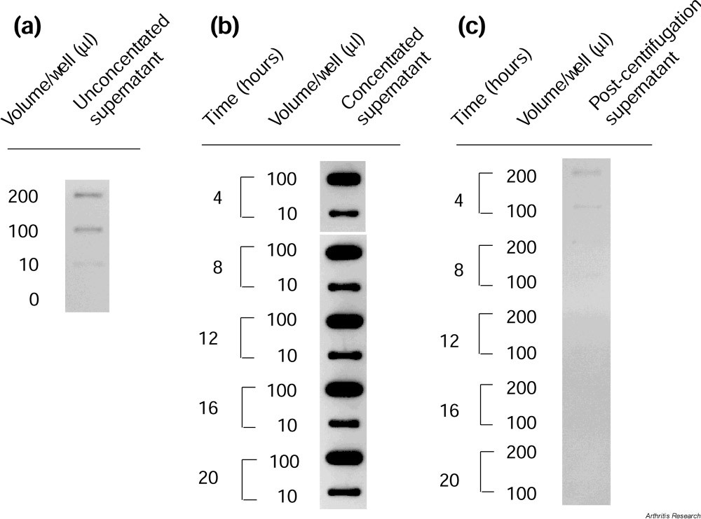 Supplementary Figure 2