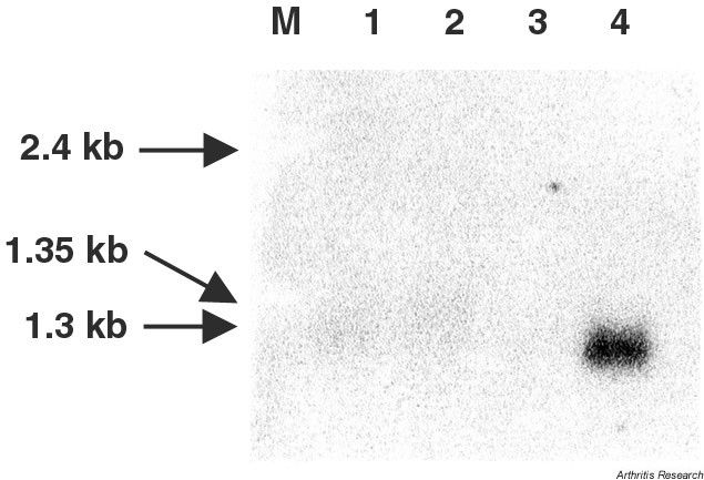 Supplementary Figure 1